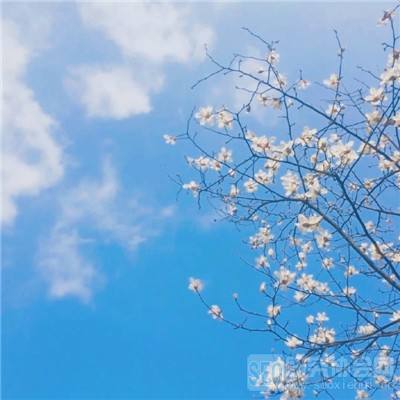 小小塔防三国志手机版(暂未上线)v1.16.3 安卓版